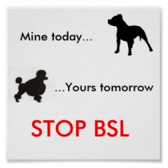stop_bsl_poster.jpg